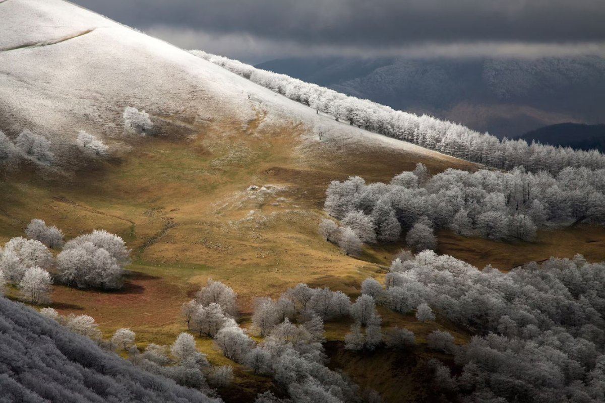 Конкурс фотографий природа