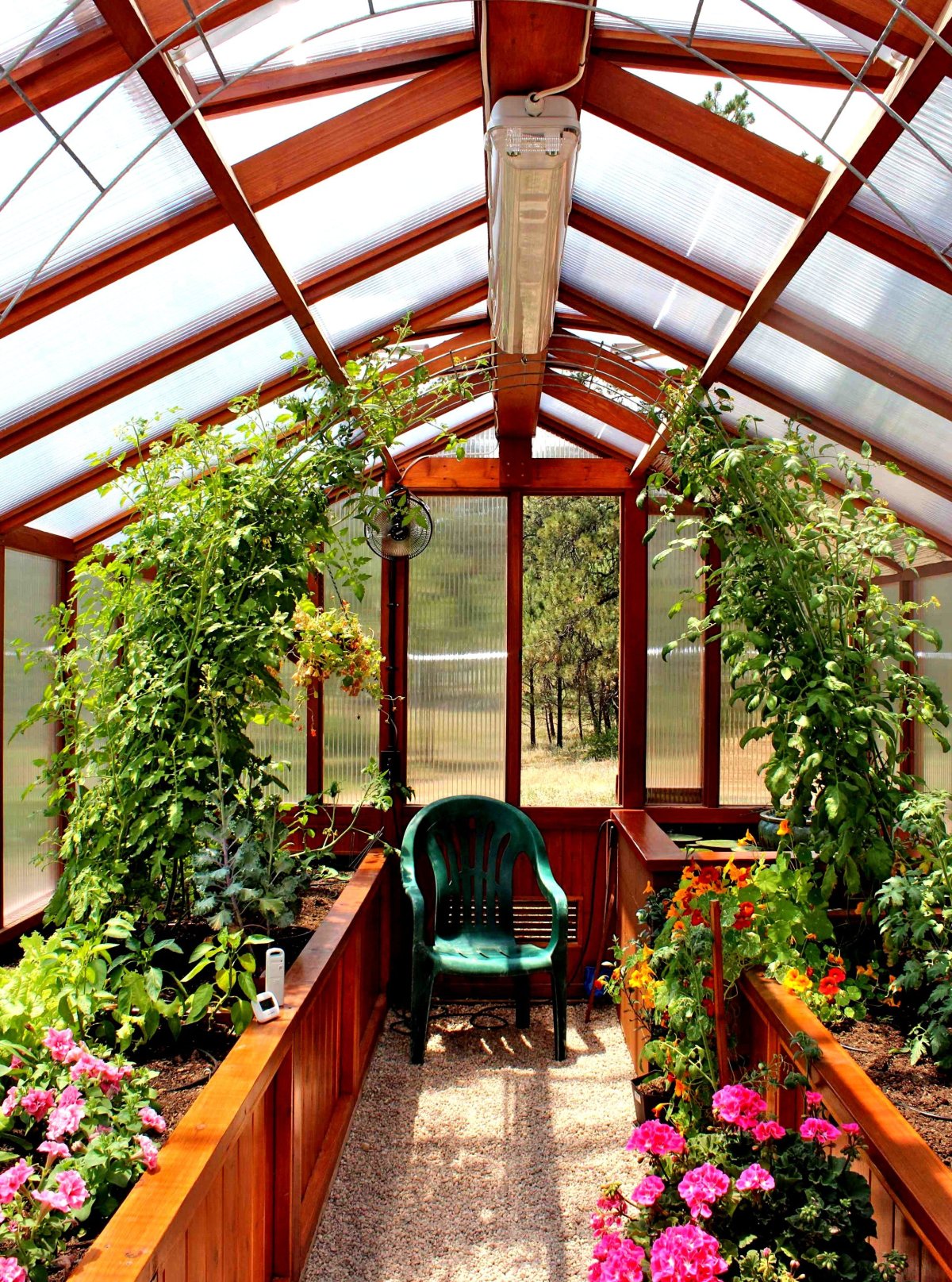 Теплица Greenhouse