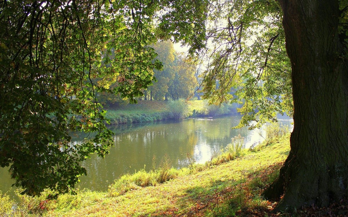 Лето река