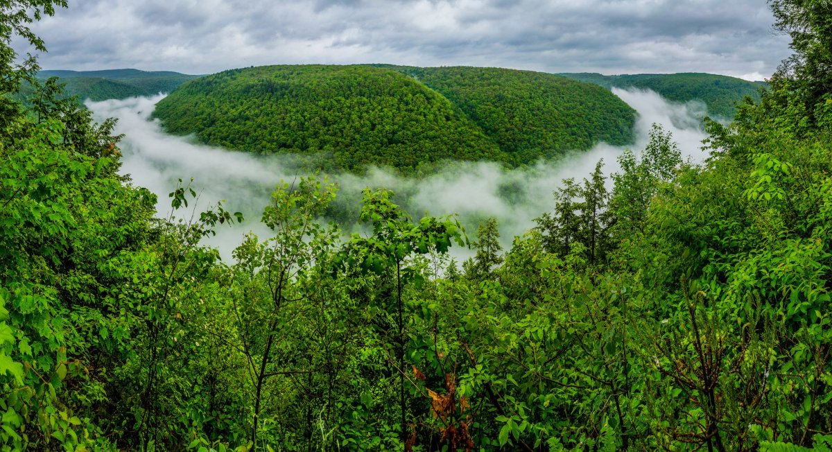 Pine Creek gorge Пенсильвания