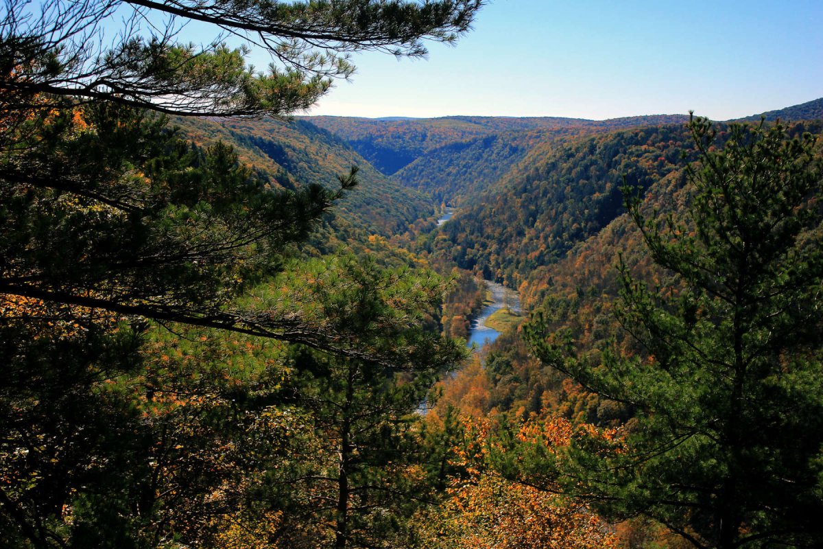 Pine Creek gorge Пенсильвания