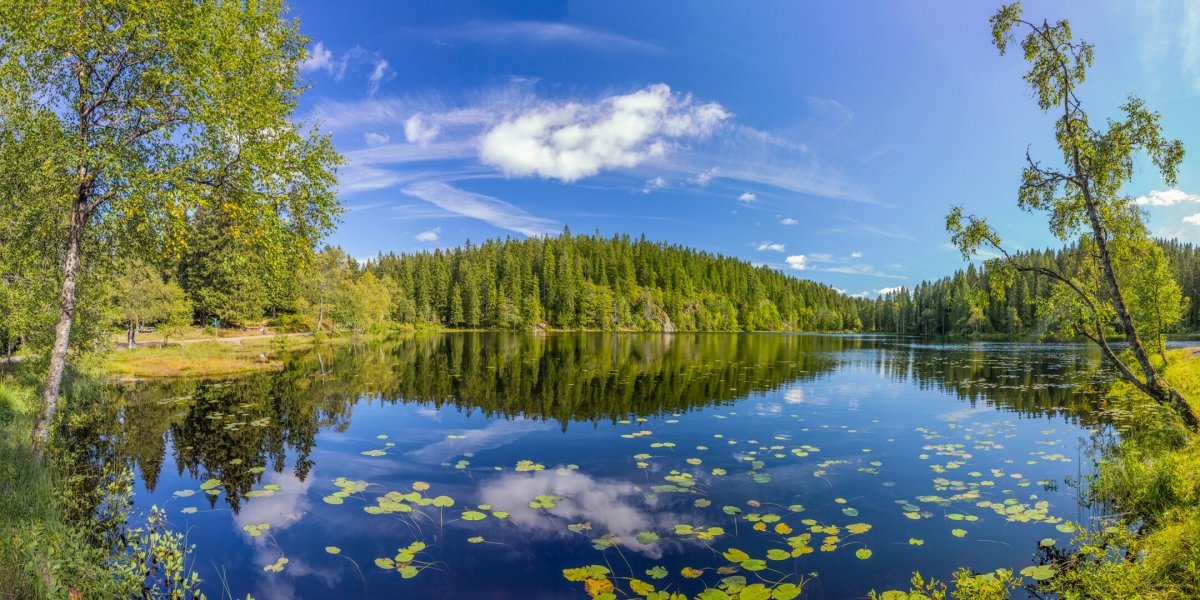 Русская природа