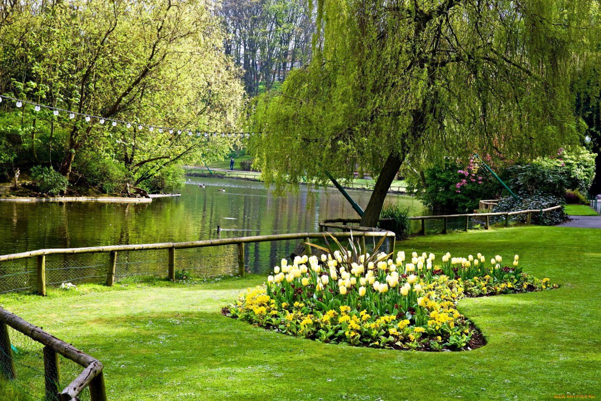 Peasholm Park Скарборо