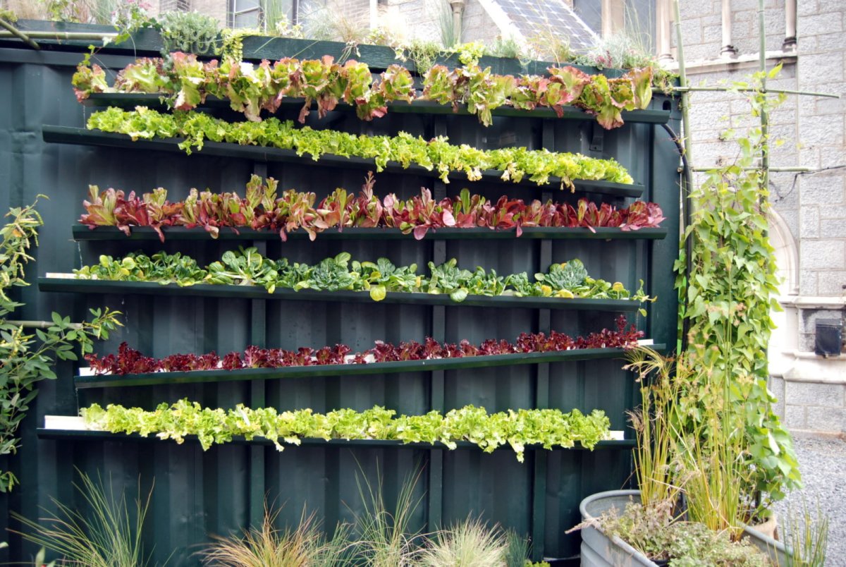 Minigarden вертикальная грядка