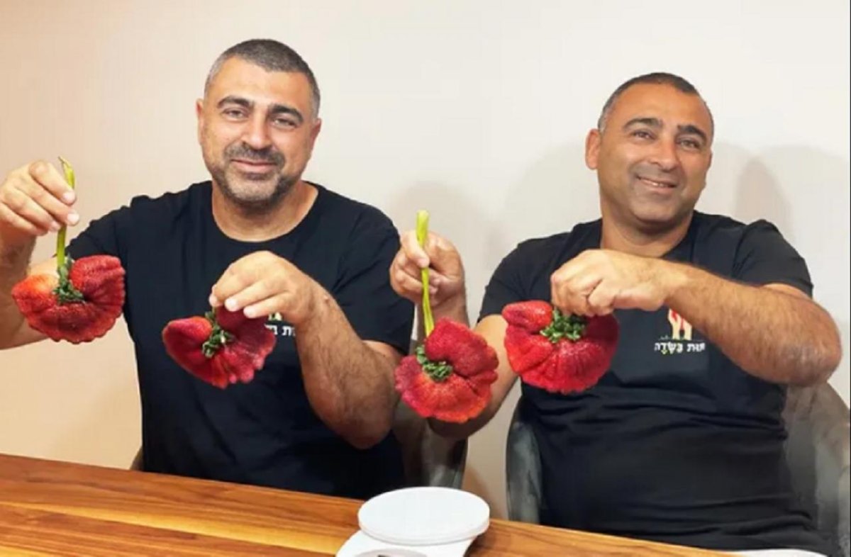 Рекорд для клубники