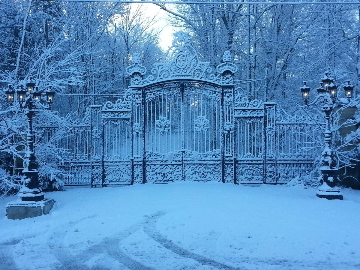 Таврический парк зима. Ворота