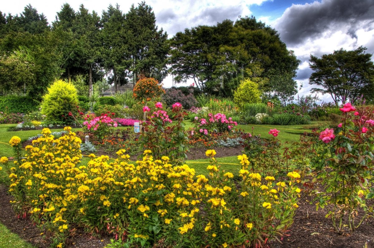 Канада сады Queen Elizabeth Garden Ванкувер