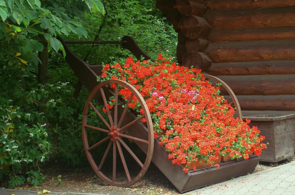 Клумба телега