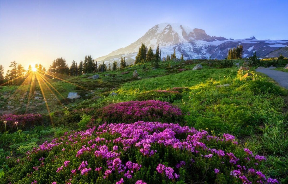 Альпийские Луга закат Швейцария