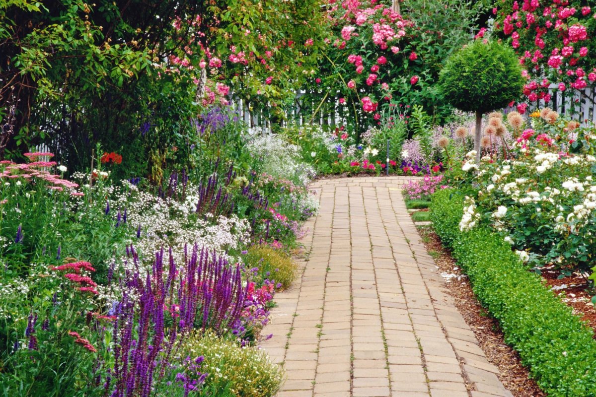 Гарден сад Garden Sad