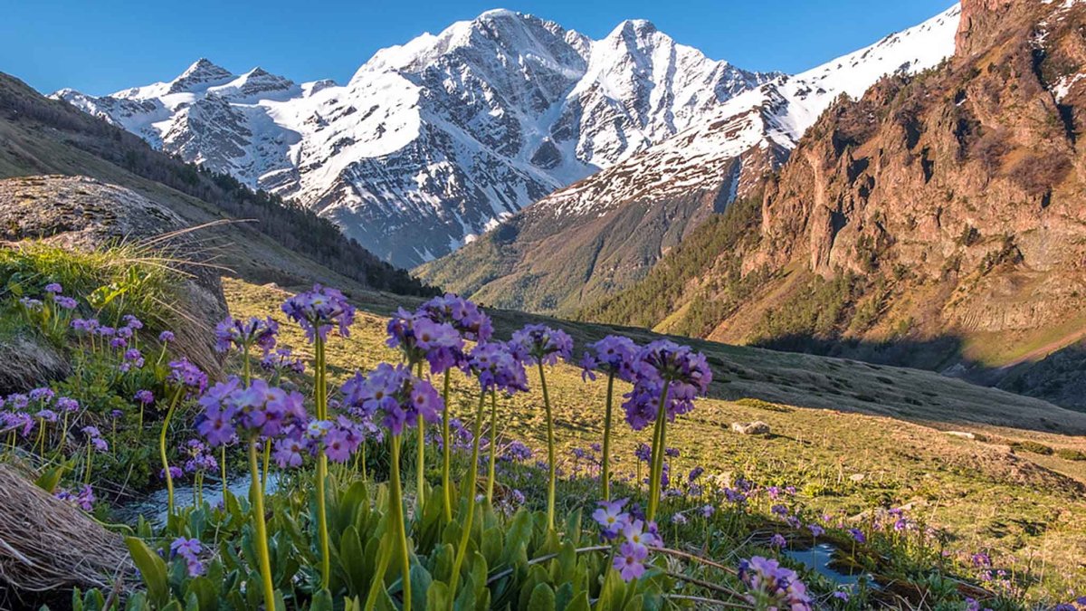 Эльбрус, Кабардино-Балкария