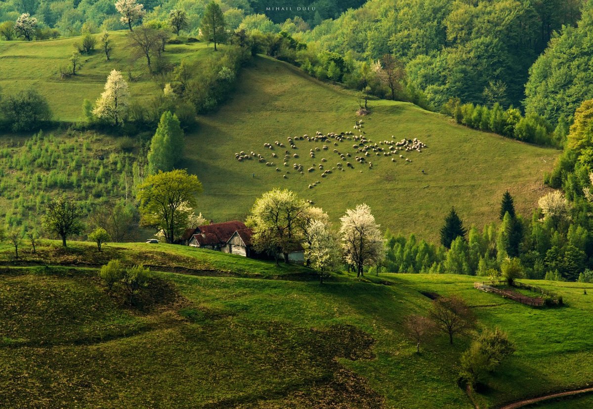 Пейзаж,холмы,Церковь Моравия