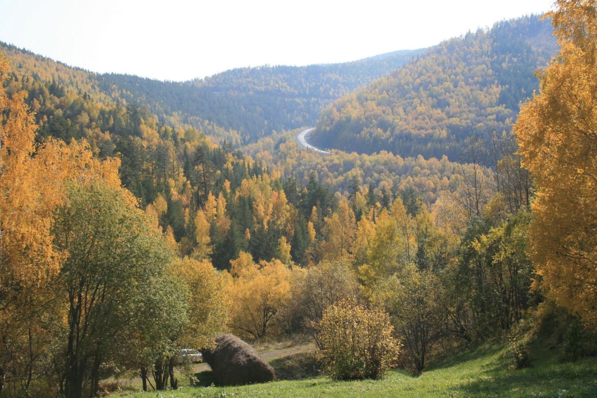 Азиатская часть природа