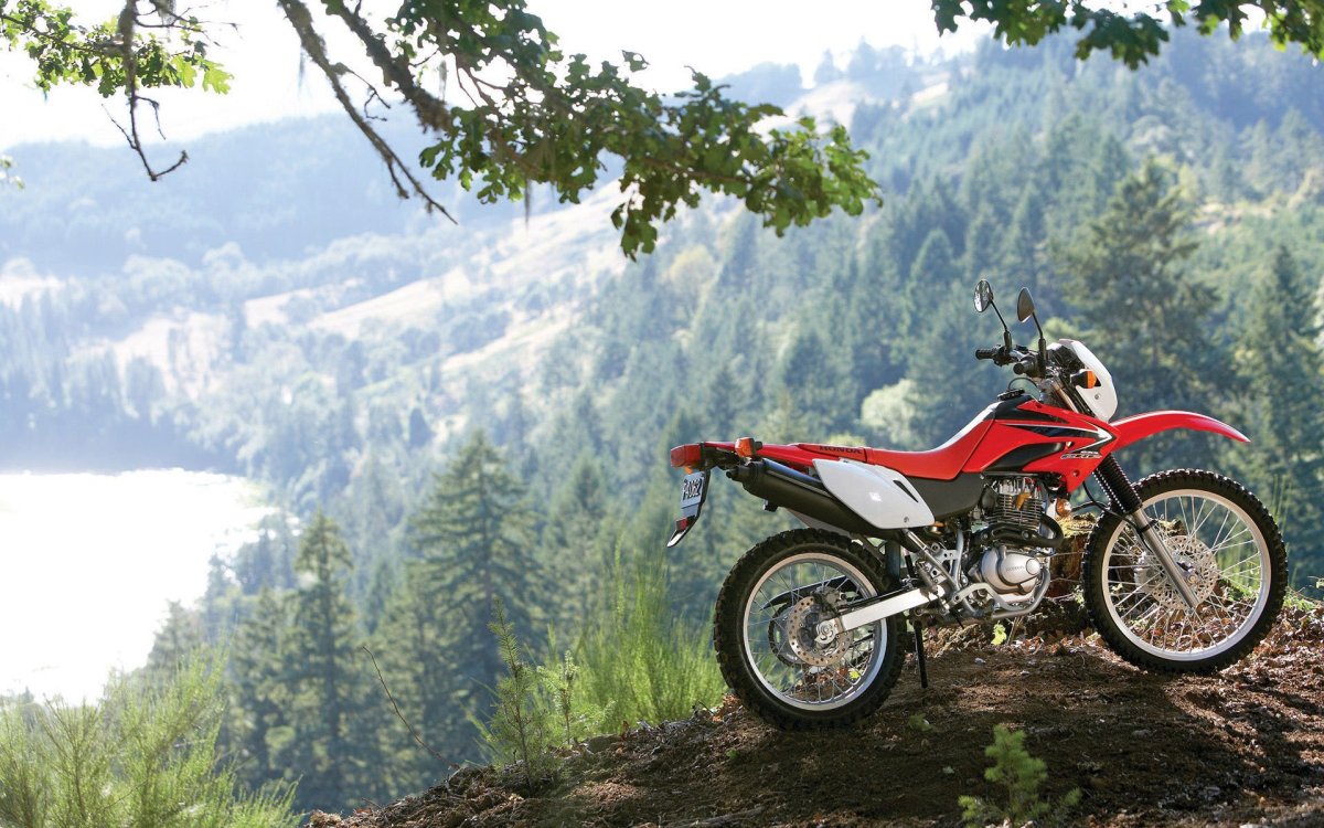 Honda crf230l