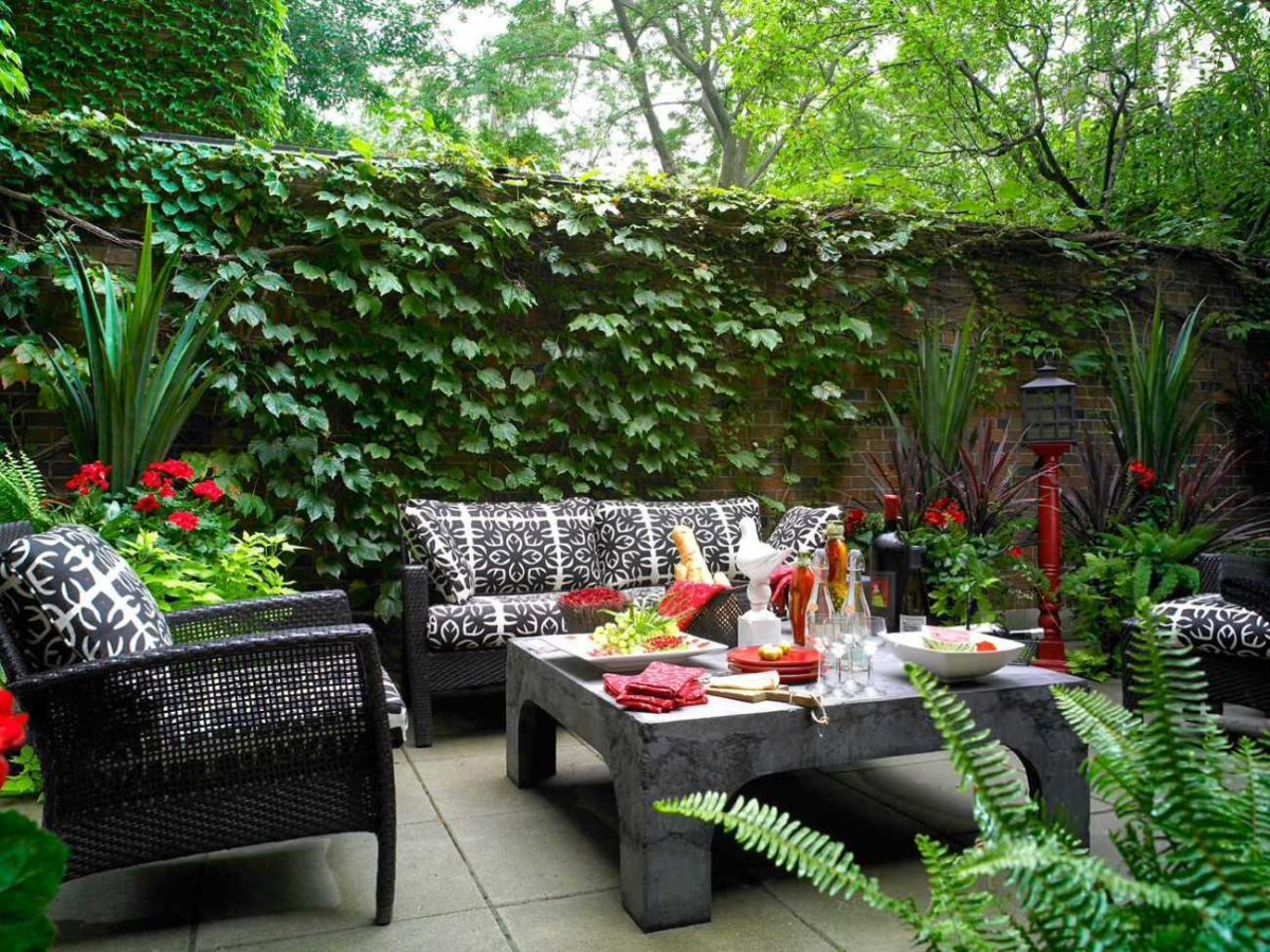 House with a lot of Plants