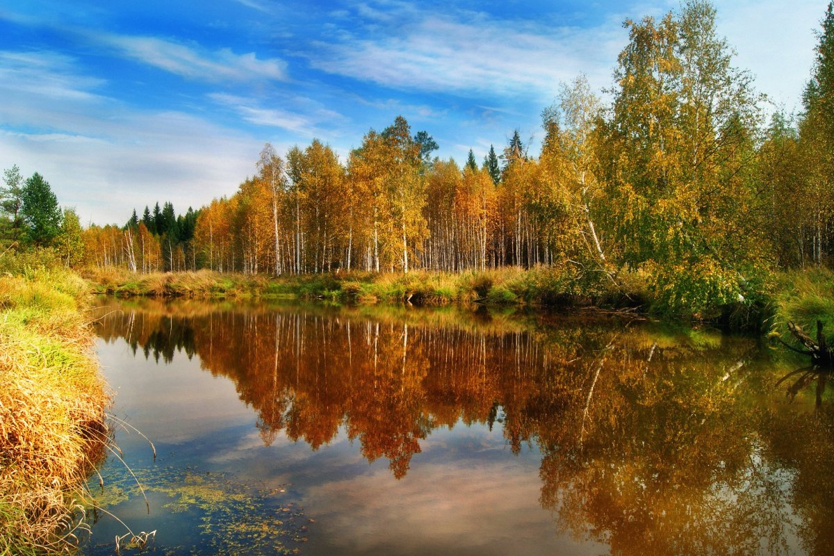 Природа осень