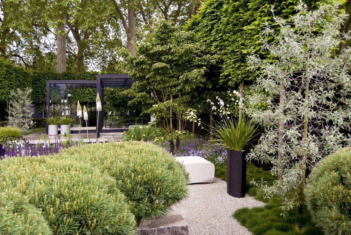 Chelsea Flower show сад Модерн