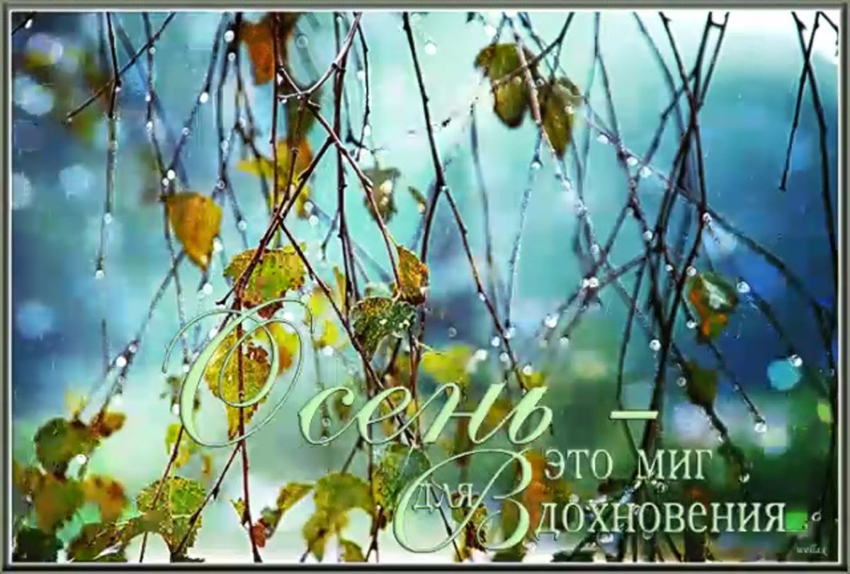 Открытки осенний дождь