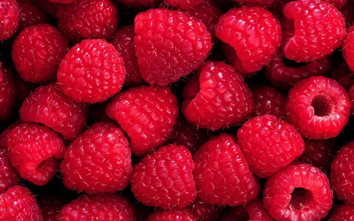 Малина свет
