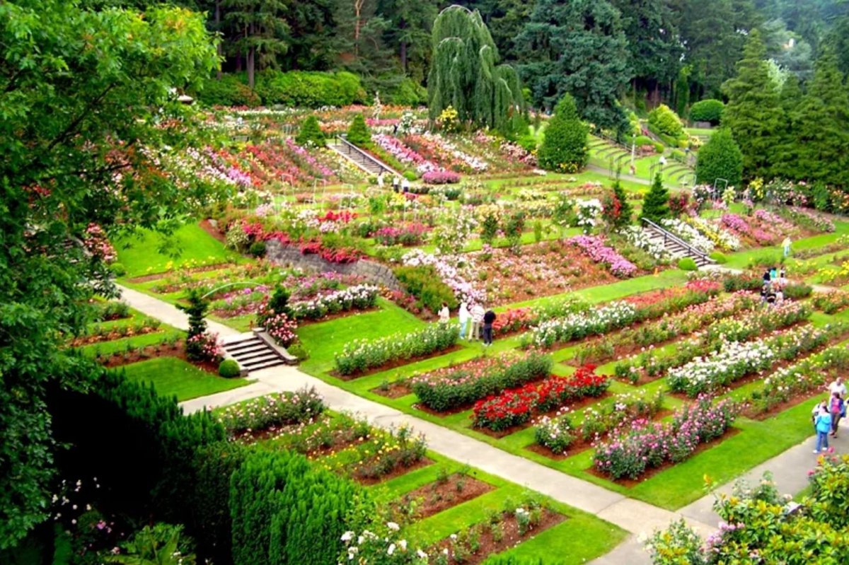 International Rose Test Garden Портленд
