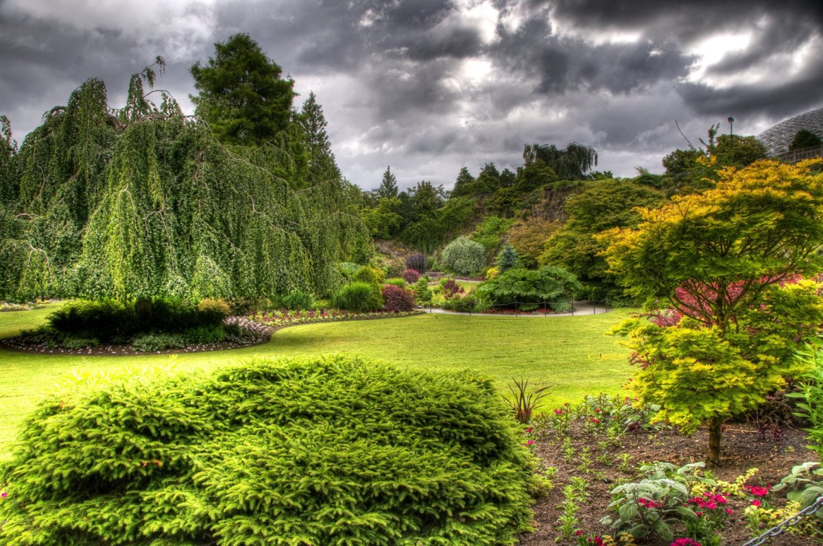 Канада сады Queen Elizabeth Garden Ванкувер
