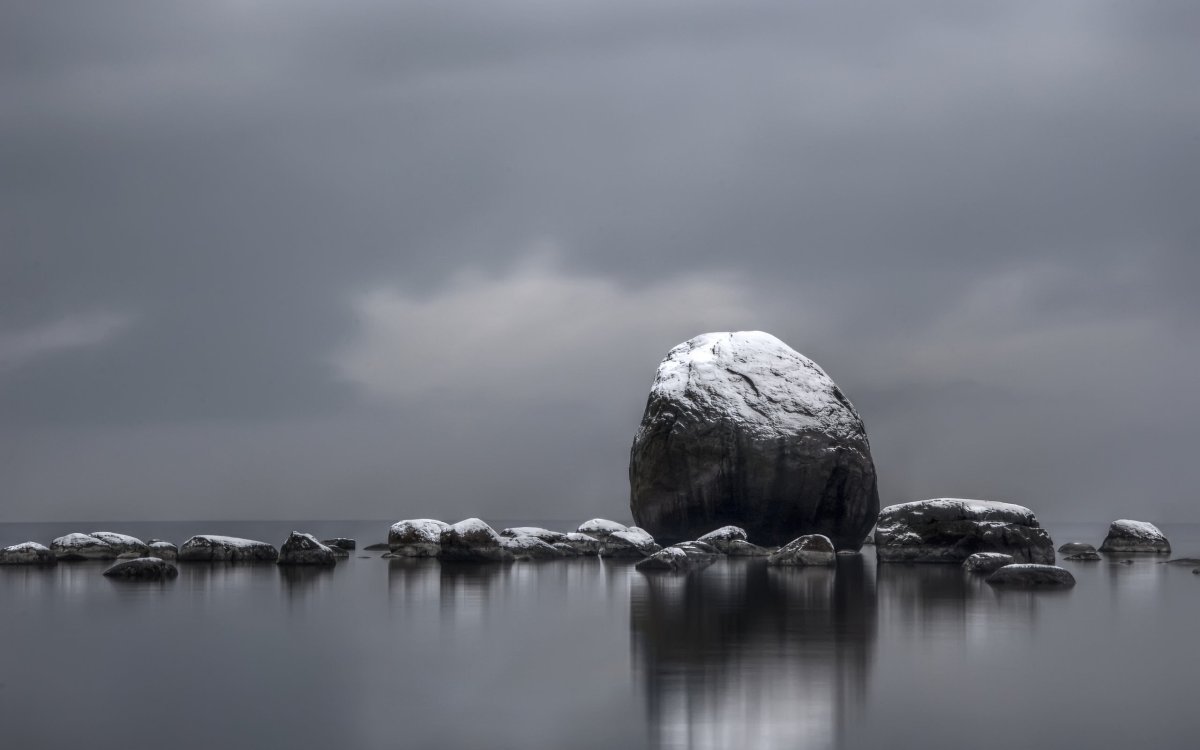 Серая природа