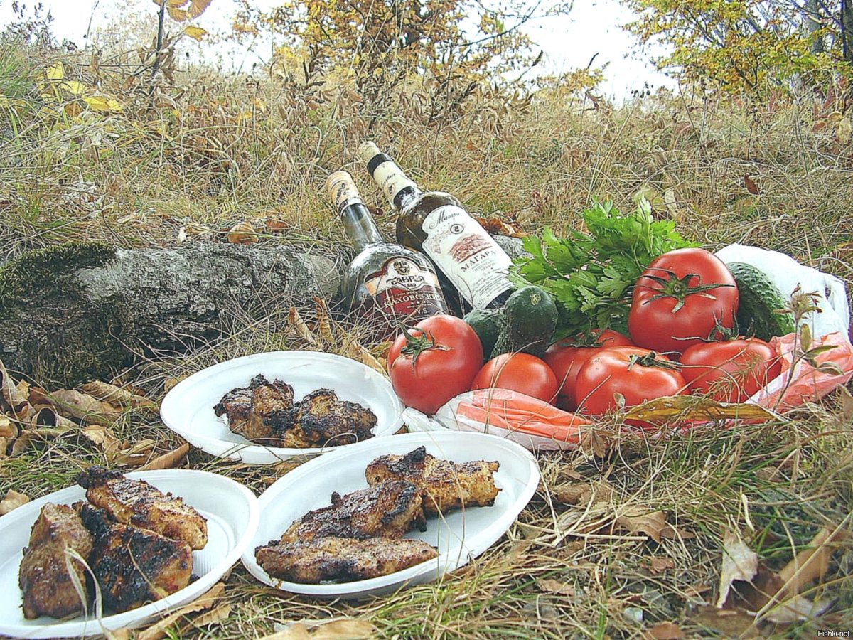 Пикник шашлык на природе
