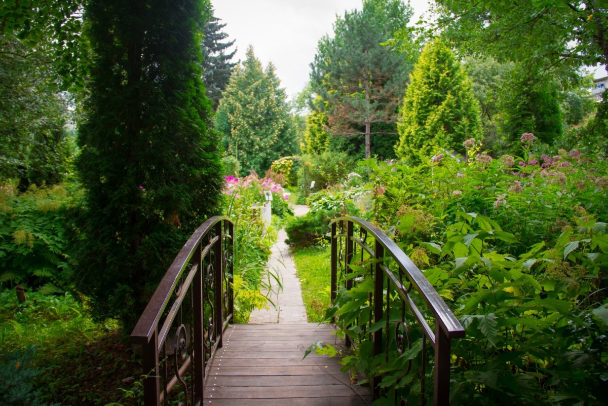 Ботанический сад Уссурийск фотографии