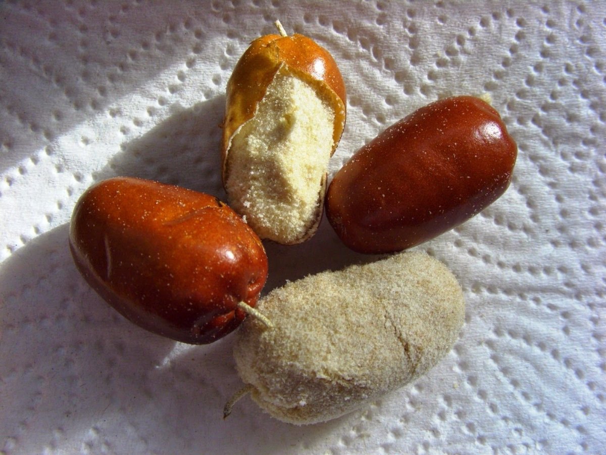 Армянские финики пшат