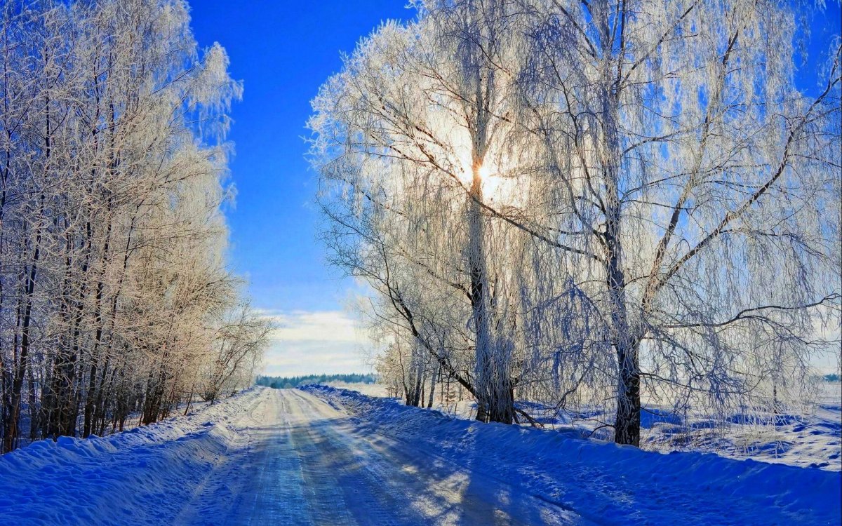 Солнечный зимний день