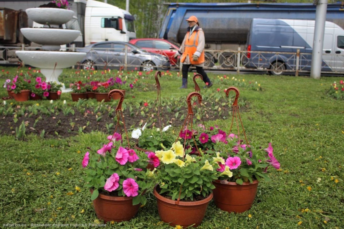 Посадка цветов в городе