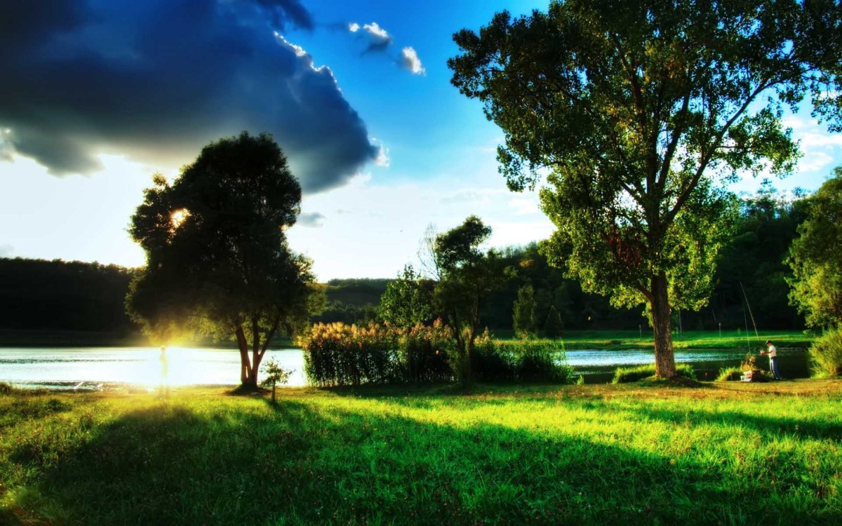 Природа 1280х1024