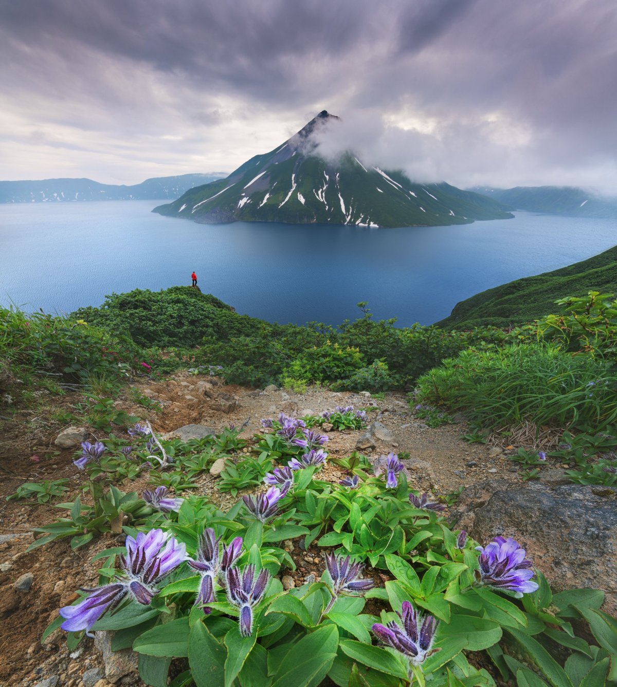 Вулкан Креницына, Курилы