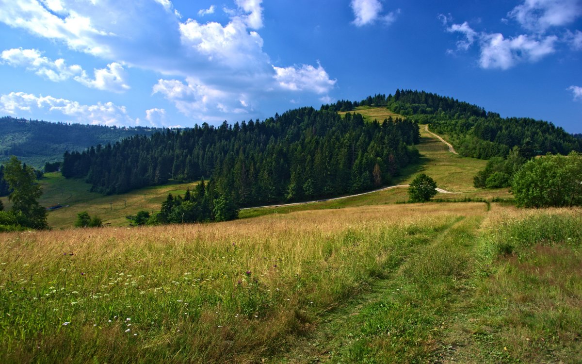 Холмы Восточно европейской равнины