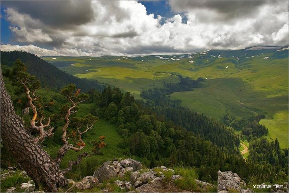 Высокогорное плато Лаго-Наки (Адыгея).