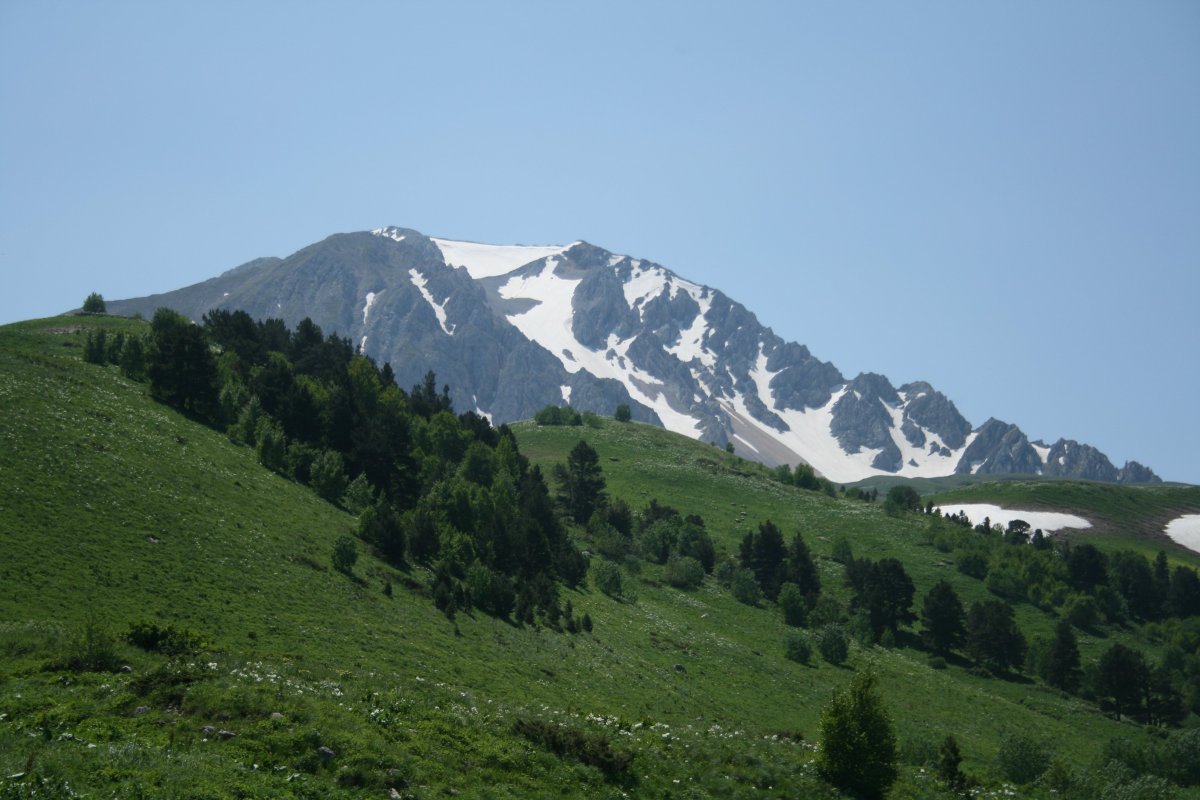 Альпийские Луга Лагонаки