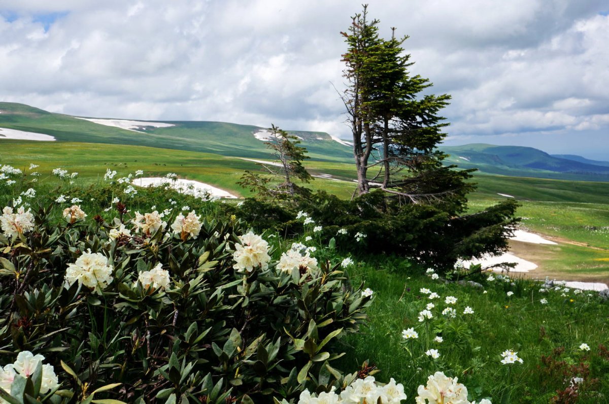Плато Лаго Наки