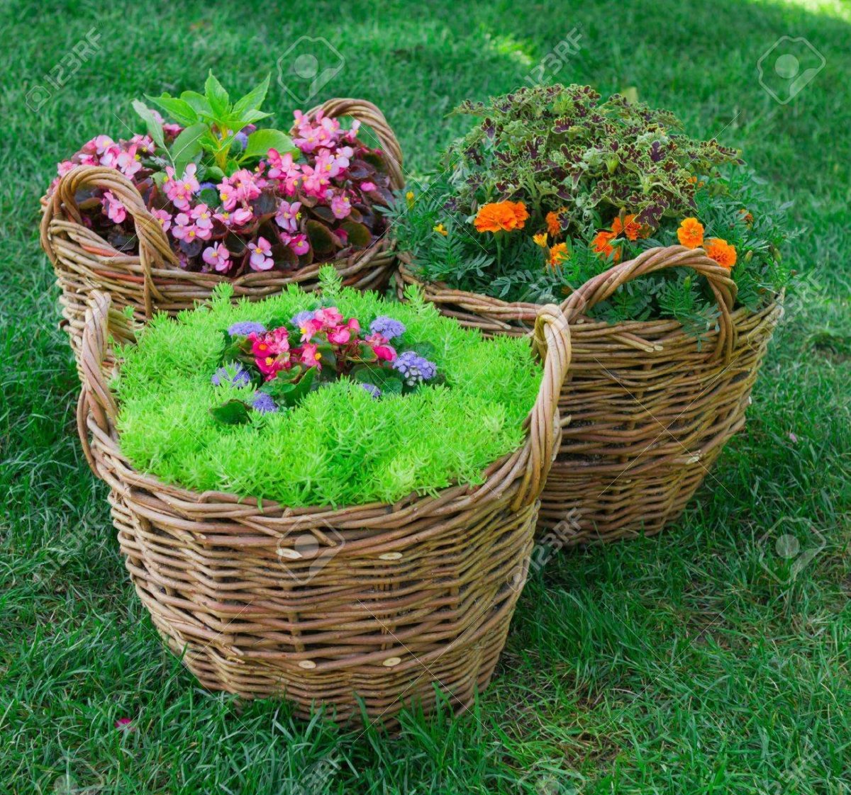 Плетеные клумбы для цветов