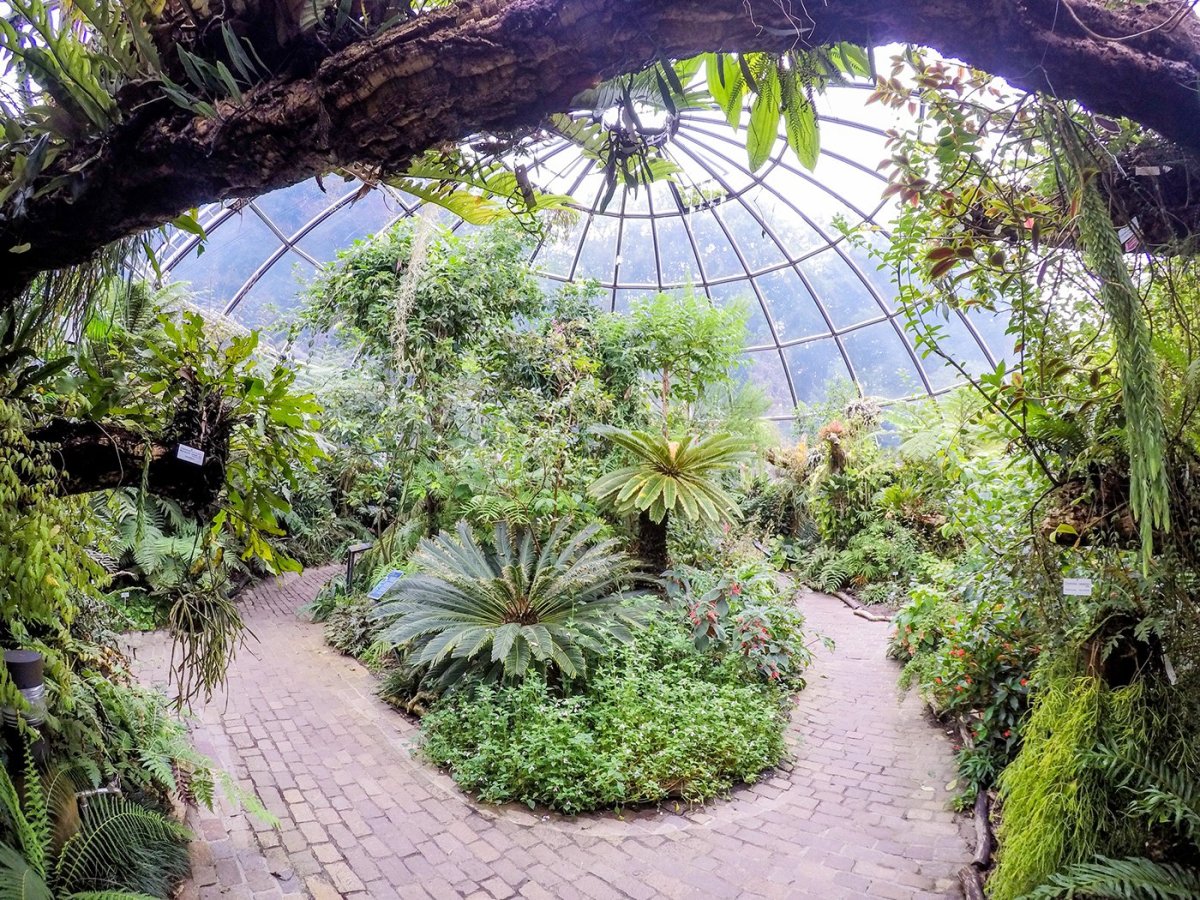 Botanischer Garten — Ботанический сад Берн