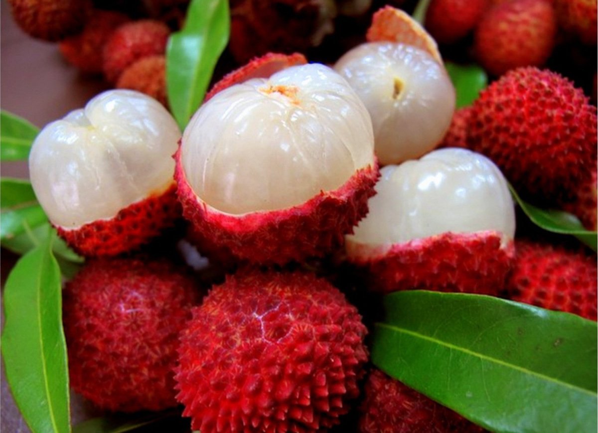 Lychee фрукт