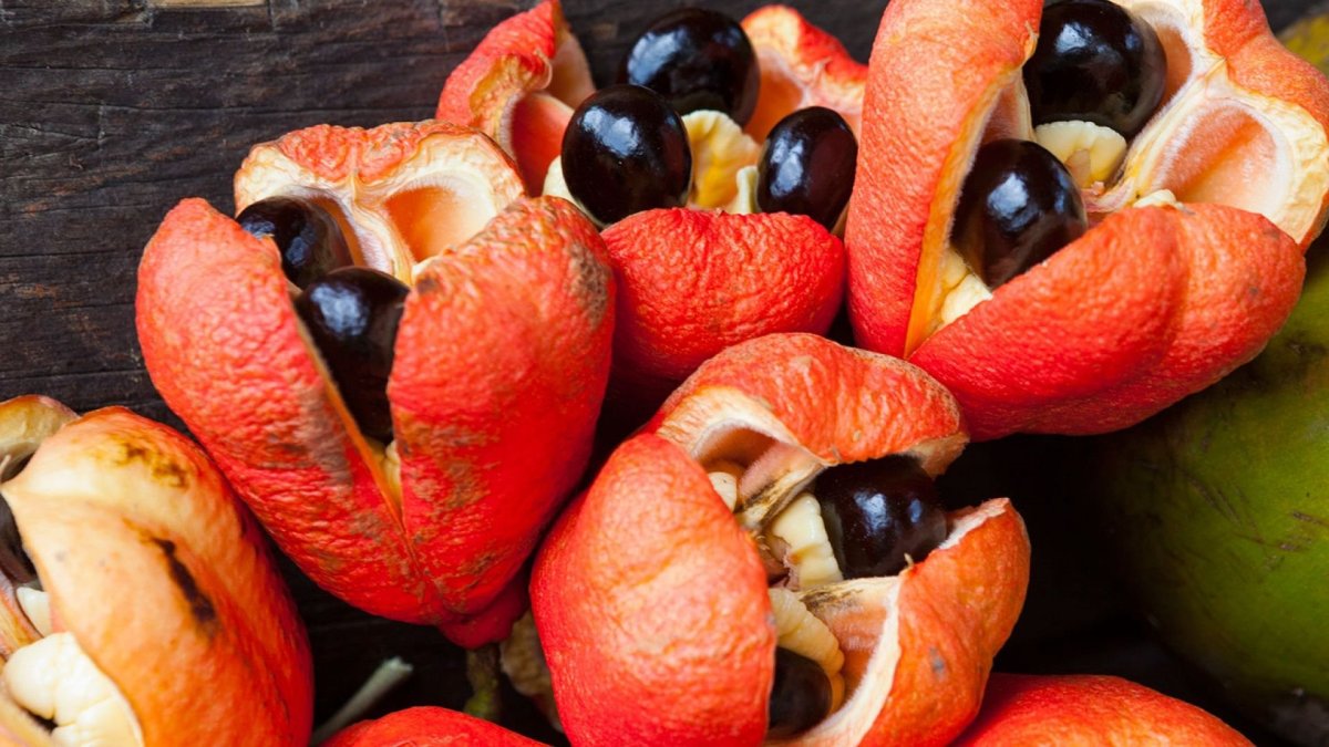 Фрукт Ackee Ямайка