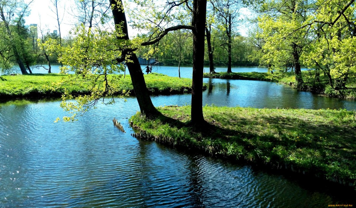 Озера реки пруды водоемы
