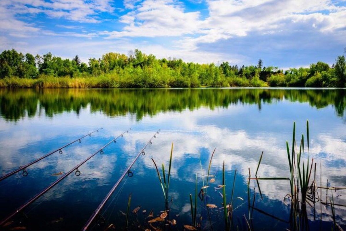 Озеро кучки село родное