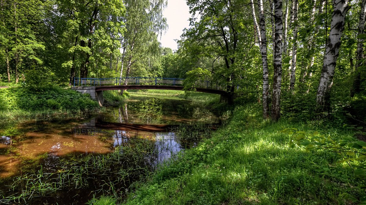 Прудик речка мостик.деревня