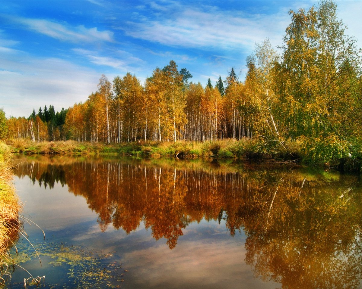Природа осень