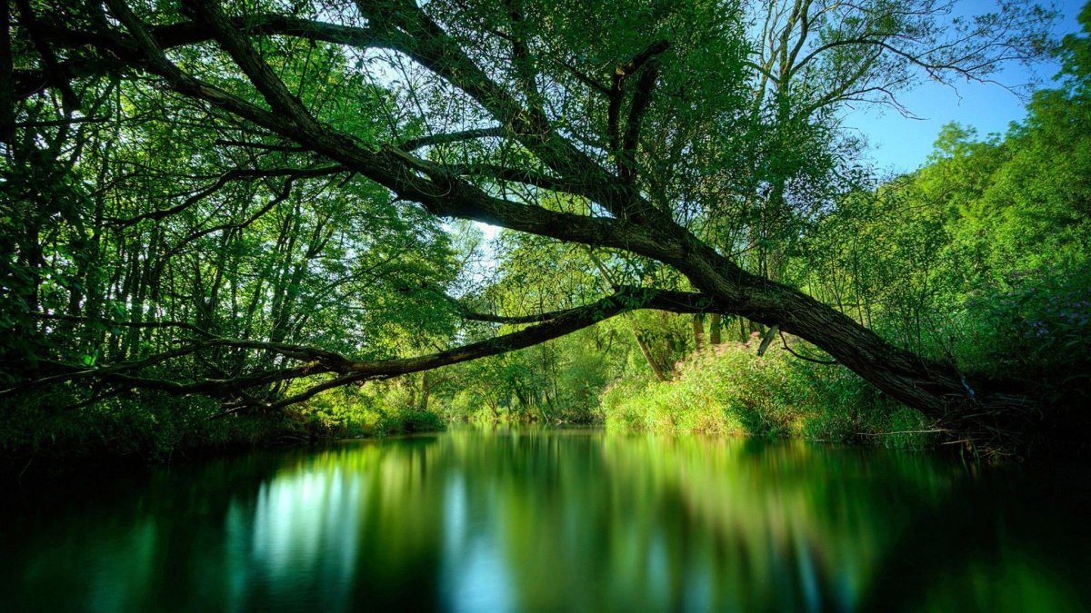 Красивая природа