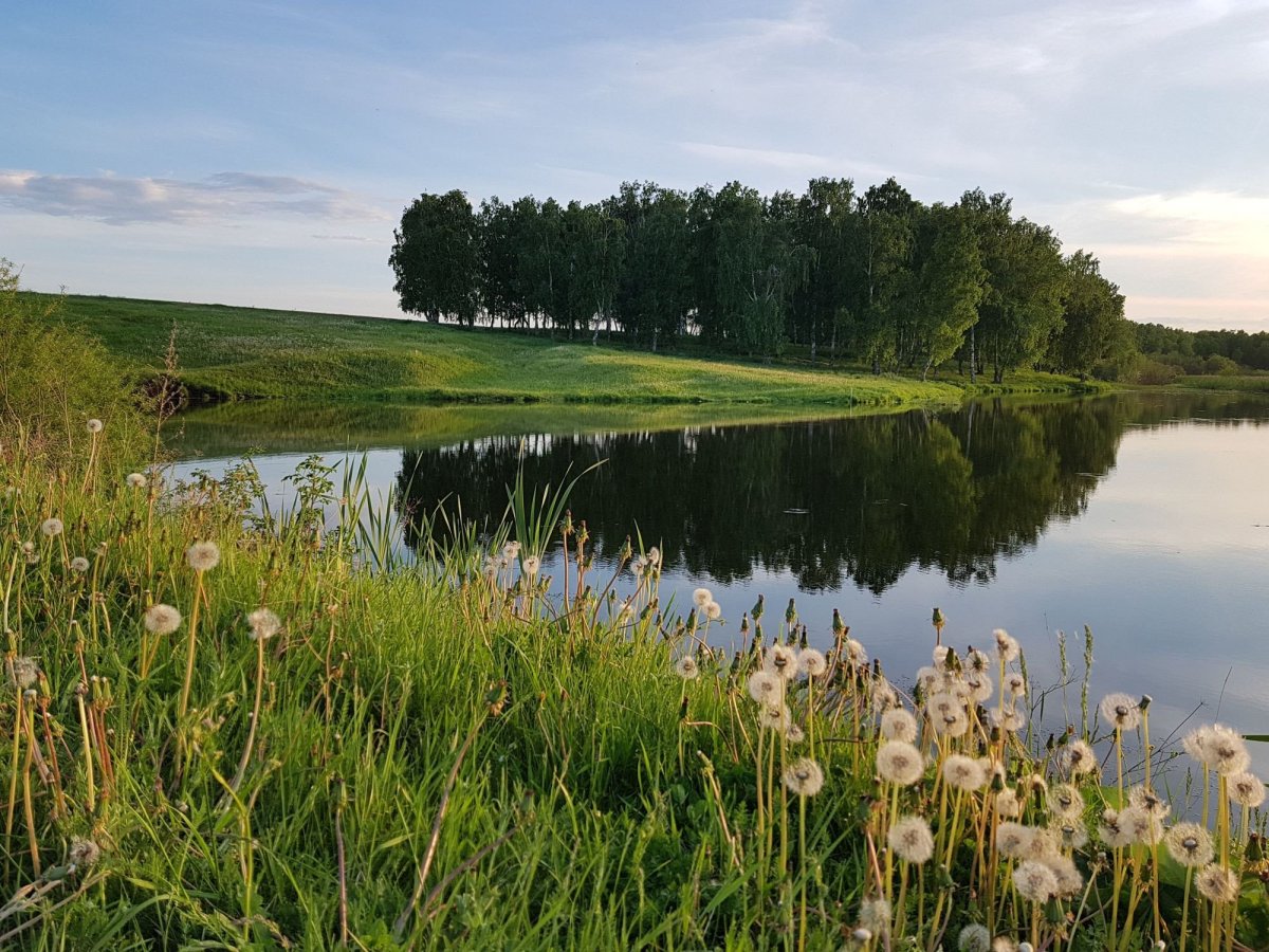 Курганская природа Курганской области