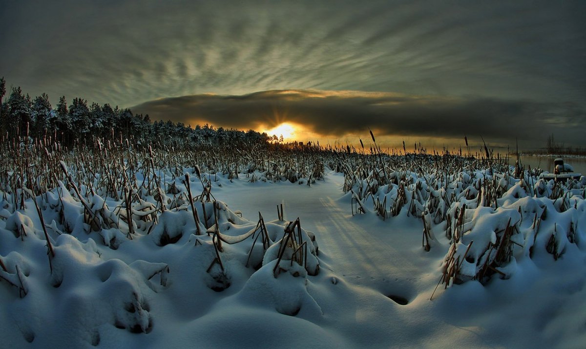 Природа ХМАО Югры