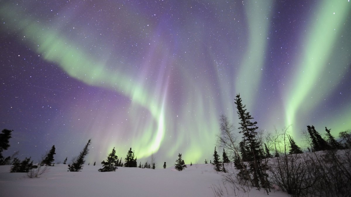Aurora Borealis группа