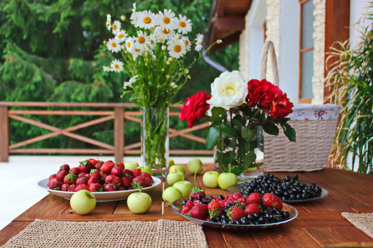 Сад с ягодами и фруктами